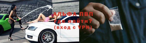 гашик Белоозёрский