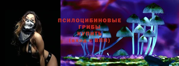 прущая мука Белокуриха
