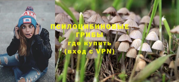 гашик Белоозёрский