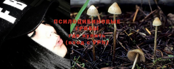 прущая мука Белокуриха